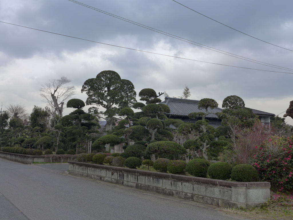 外庭？　1