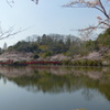 茂原公園　1　