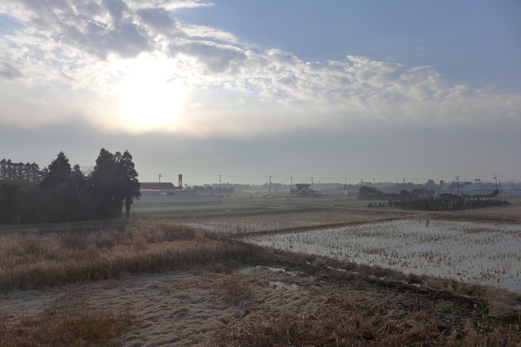 冷え込んだ朝