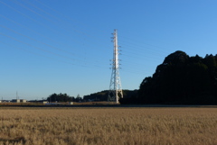 冬陽に輝く鉄塔