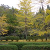 秋の公園