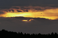 黄金色の空