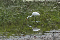 コロニーでゆったり