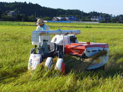 順調に作業は進む