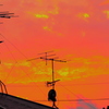 紅の夕空