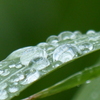 水滴