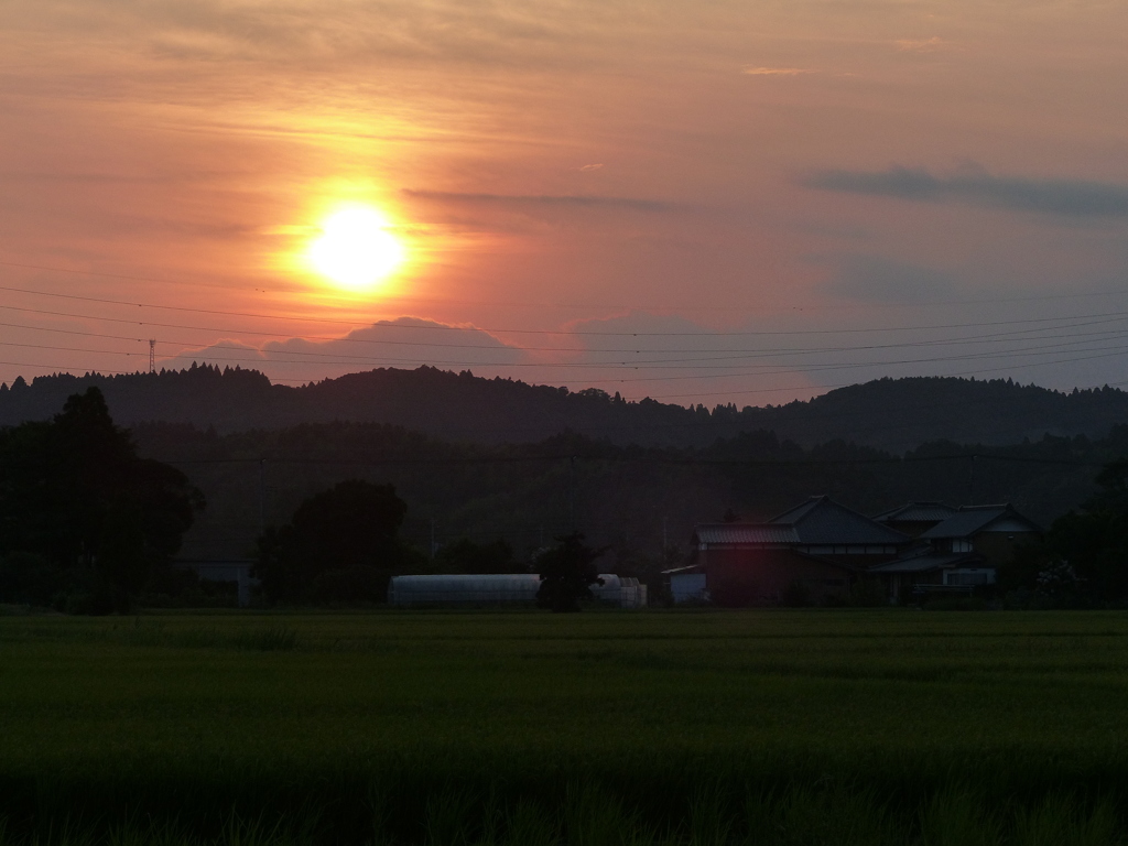 夕陽