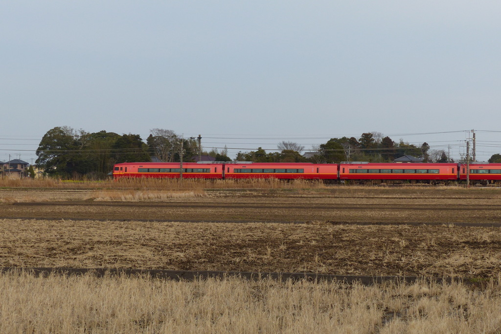 見慣れない電車