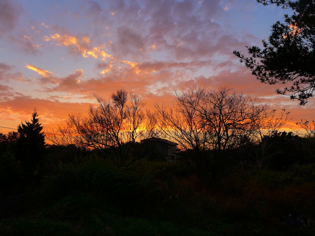 夕焼け1