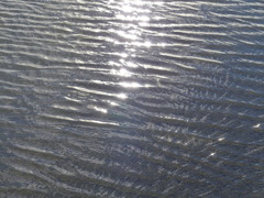 波の煌き