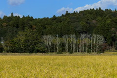 山裾の風景