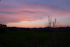 夕暮れ