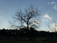 西の空