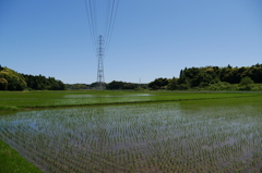 田園風景