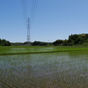 田園風景