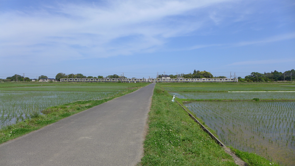 田んぼと電車②