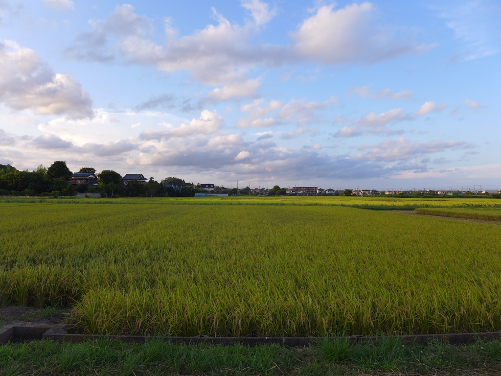 夕陽を受けて　4