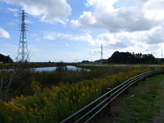 池のある風景