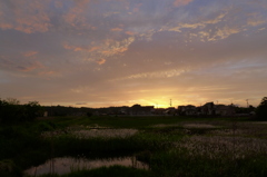 夕景