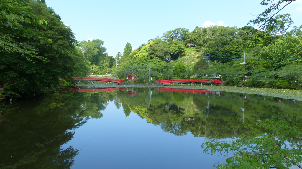 初夏の茂原公園