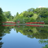 初夏の茂原公園