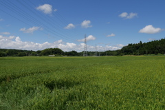 田園風景