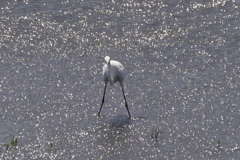 強風に耐える