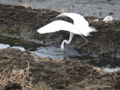 4.フィニッシュ！