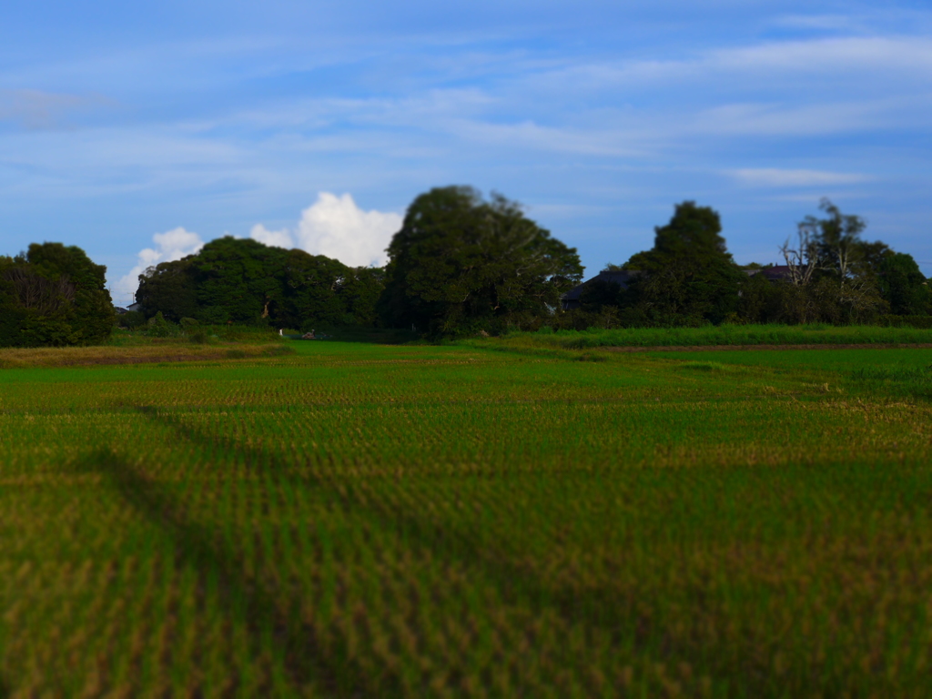 ジオラマ　作例3