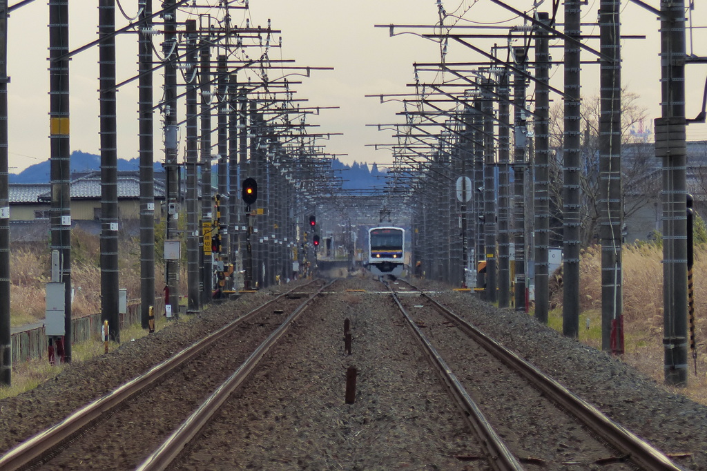 電車遠望