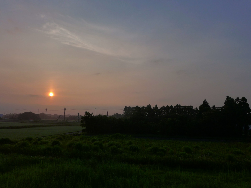 朝景