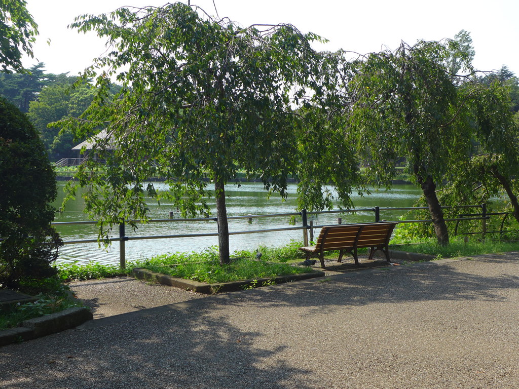 千葉公園