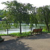 千葉公園