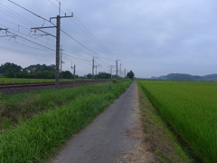 長いあぜ道