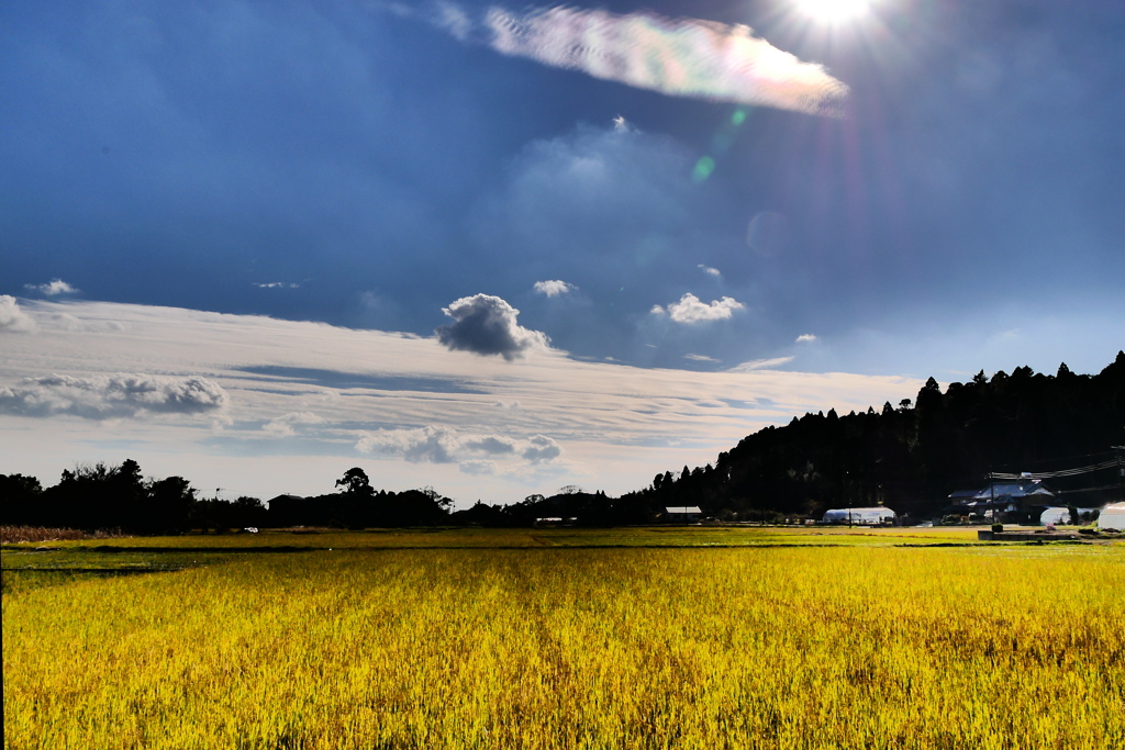 山里の風景