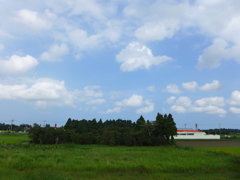 林と雲