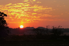 冬の夕陽