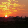 冬の夕陽