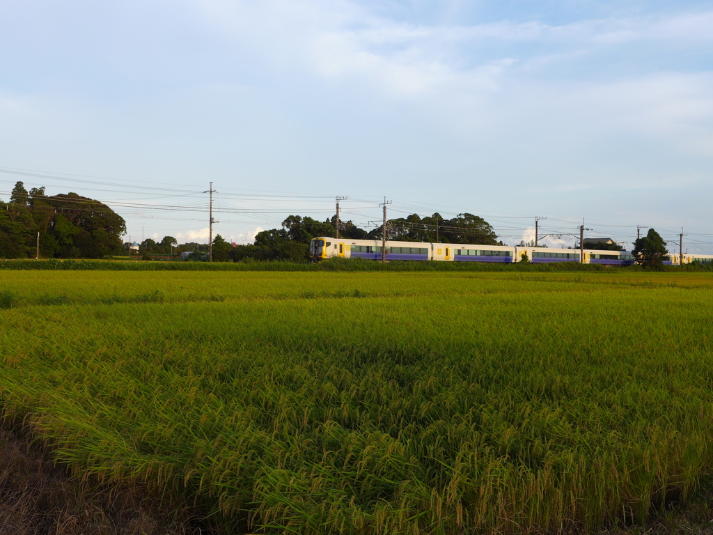 夕陽を受けて　7