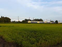 夕陽を受けて　7