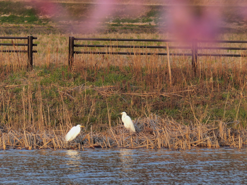 いつもの場所で