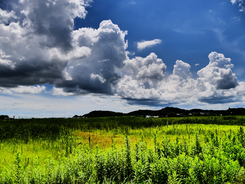 夏雲の田園