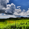 夏雲の田園