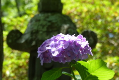 お寺の片隅で