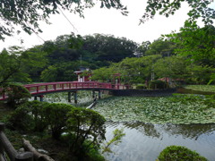 茂原公園　③