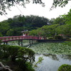 茂原公園　③