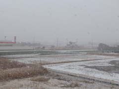 初雪　2