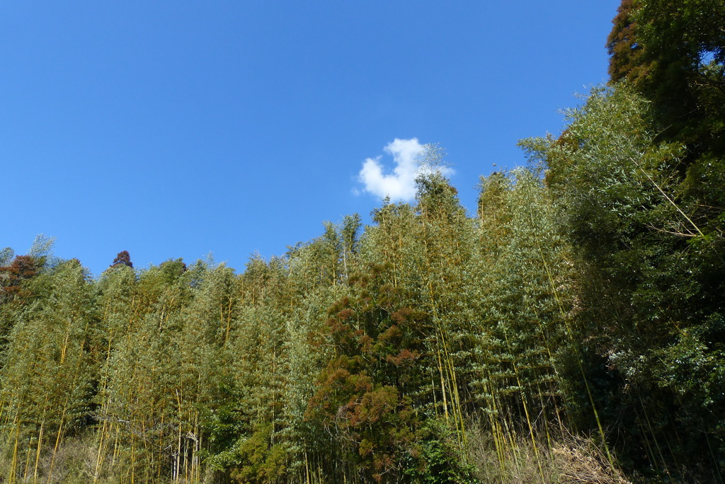 山間の風景