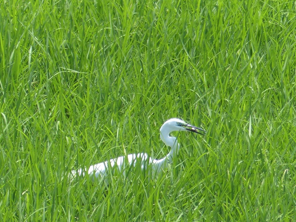 こんな状況でも