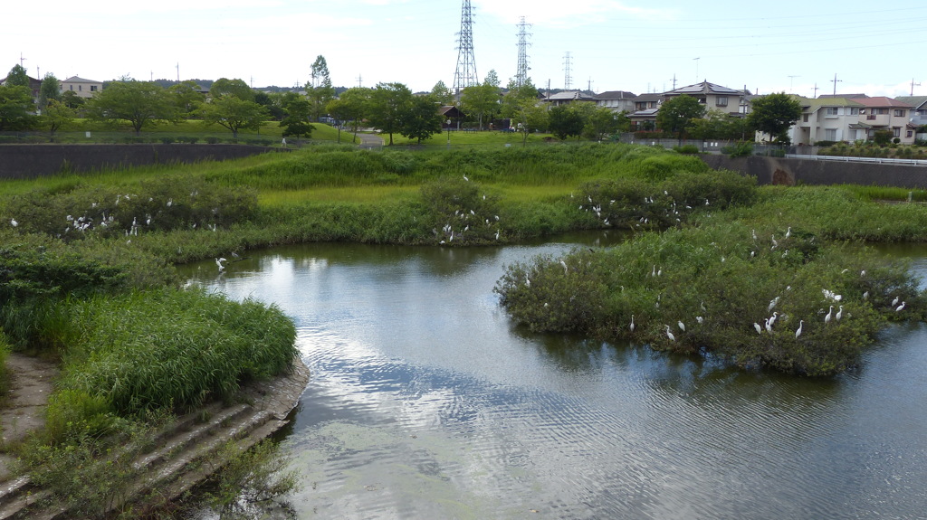コロニー近況　全容